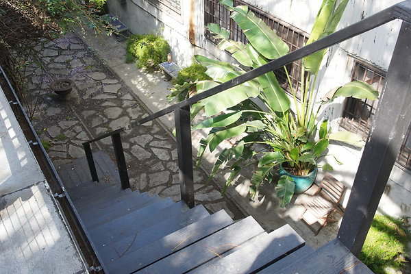 magnus-2025-213 magnus-2025-213