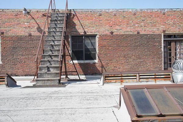 magnus-2025-204 magnus-2025-204