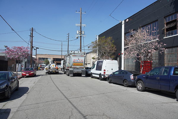 magnus-2025-004 magnus-2025-004