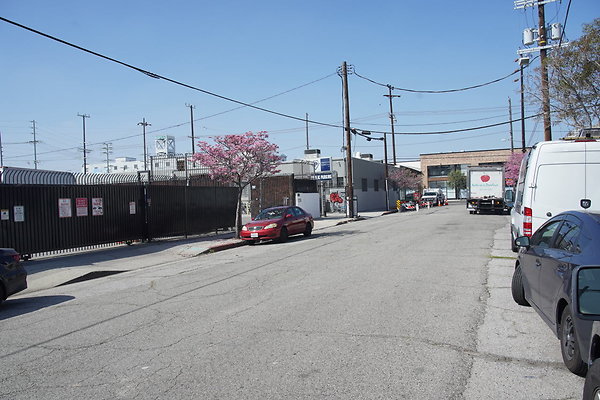 magnus-2025-009 magnus-2025-009