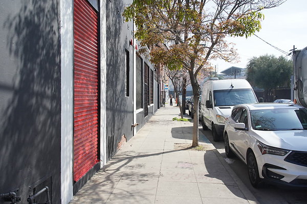 magnus-2025-011 magnus-2025-011