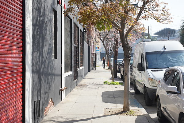 magnus-2025-012 magnus-2025-012