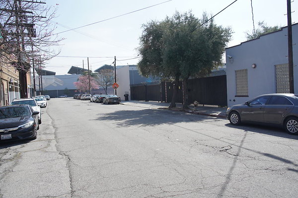 magnus-2025-007 magnus-2025-007