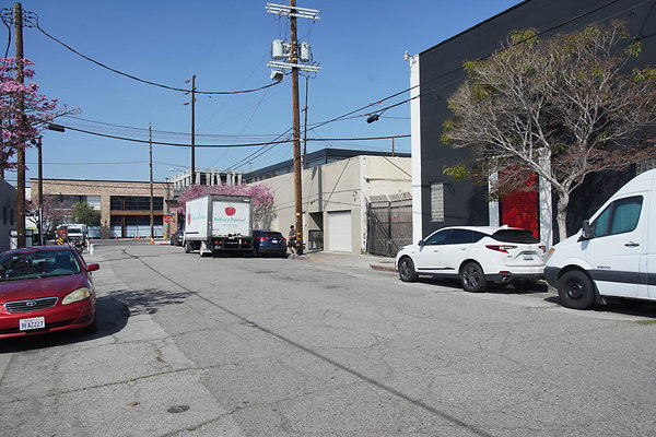 magnus-2025-001 magnus-2025-001