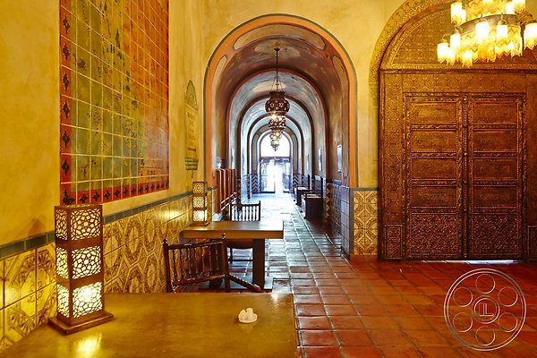 04 Image Exotic 14 DTLA 04 Image Exotic 14 DTLA