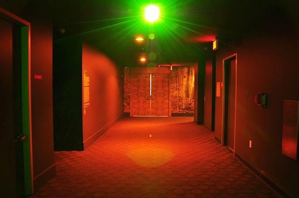 13 UN 7999 X Standard DTLA 13 UN 7999 X Standard DTLA