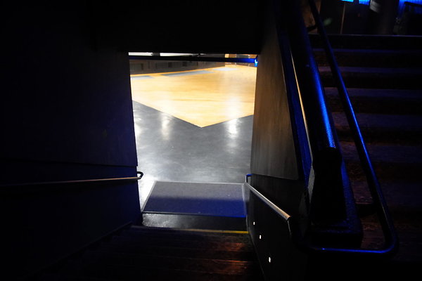 bellwether-162 bellwether-162