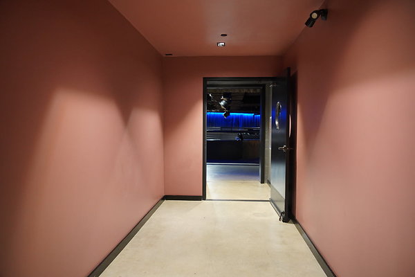 bellwether-226 bellwether-226