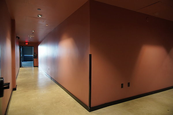 bellwether-221 bellwether-221