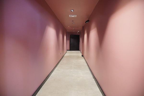 bellwether-244 bellwether-244