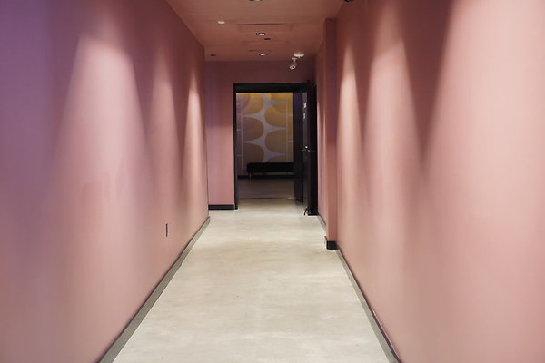 bellwether-224 bellwether-224