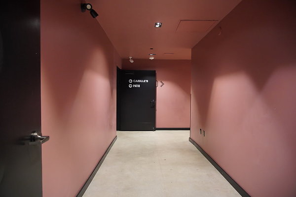 bellwether-238 bellwether-238