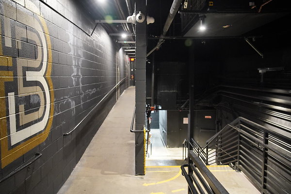 bellwether-046 bellwether-046