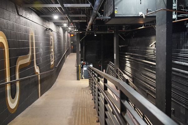 bellwether-038 bellwether-038