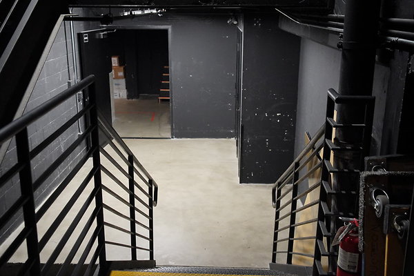 bellwether-019 bellwether-019