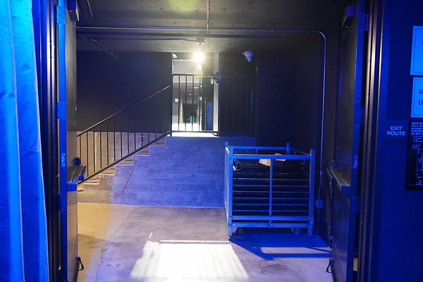 bellwether-001 bellwether-001