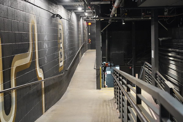 bellwether-039 bellwether-039