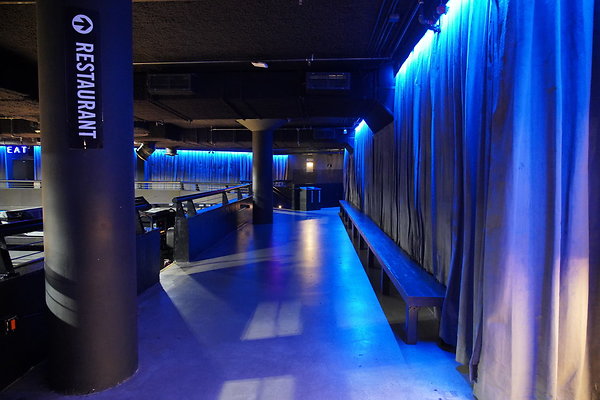 bellwether-144 bellwether-144