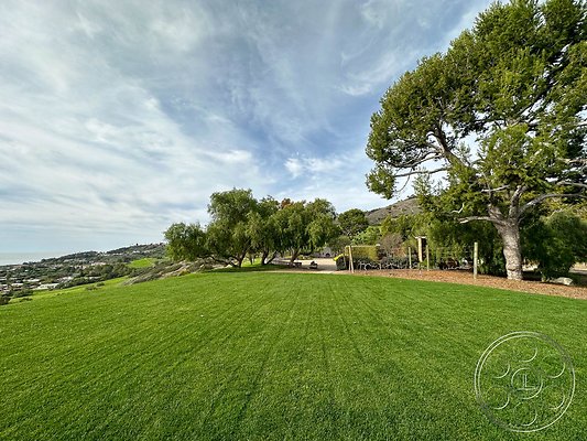 ocean-vineyard-10 ocean-vineyard-10