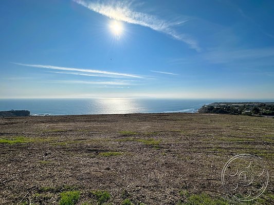 ocean-vineyard-44 ocean-vineyard-44