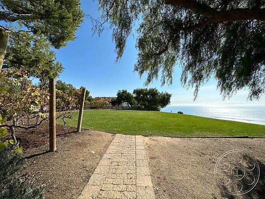 ocean-vineyard-13 ocean-vineyard-13