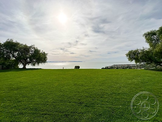 ocean-vineyard-9 ocean-vineyard-9