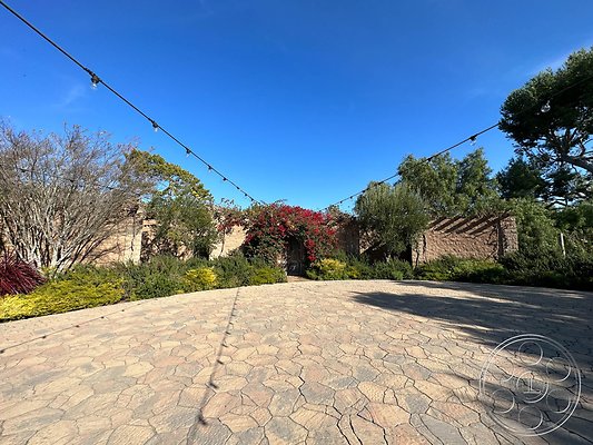 ocean-vineyard-18 ocean-vineyard-18