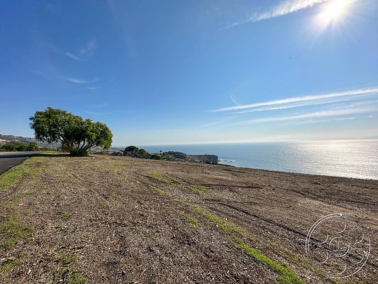 ocean-vineyard-45 ocean-vineyard-45