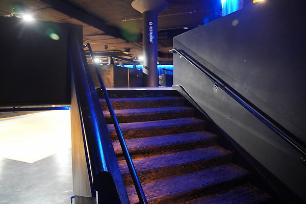 bellwether-161 bellwether-161