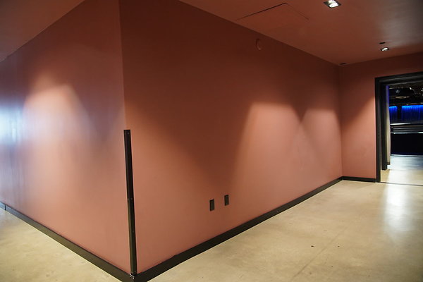 bellwether-222 bellwether-222