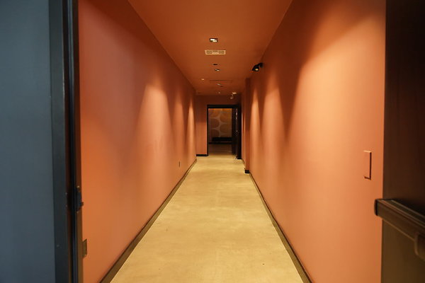 bellwether-223 bellwether-223