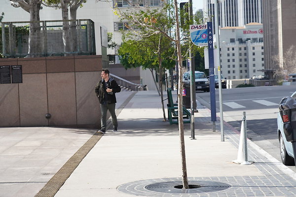 z-One-Cal-TLP-005 z-One-Cal-TLP-005