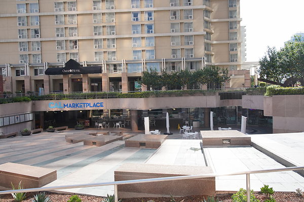 One-Cal-TLP-008 One-Cal-TLP-008