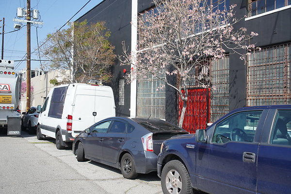 magnus-2025-006 magnus-2025-006