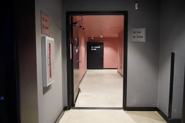 bellwether-237 bellwether-237