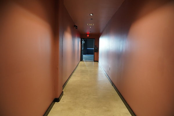 bellwether-242 bellwether-242