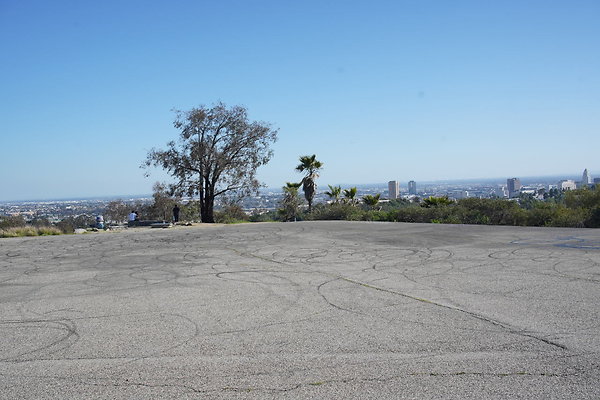 elysian-2025-083 elysian-2025-083