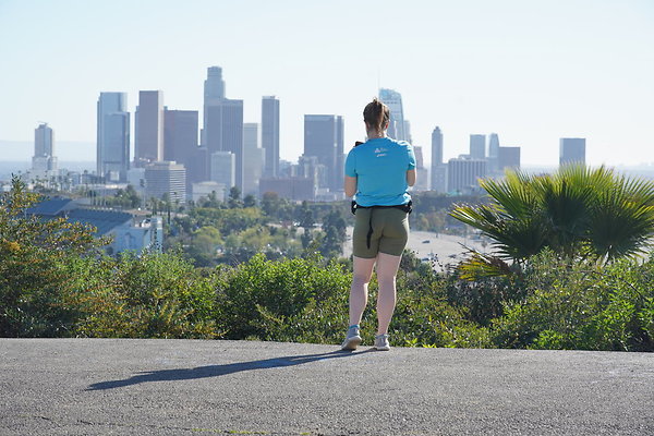 elysian-2025-100 elysian-2025-100