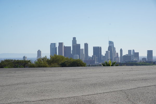 elysian-2025-103 elysian-2025-103