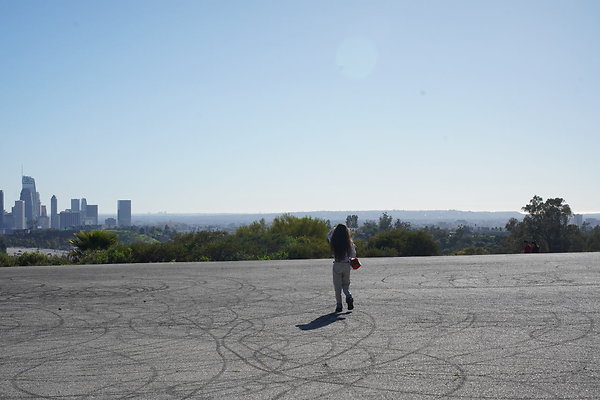 elysian-2025-079 elysian-2025-079