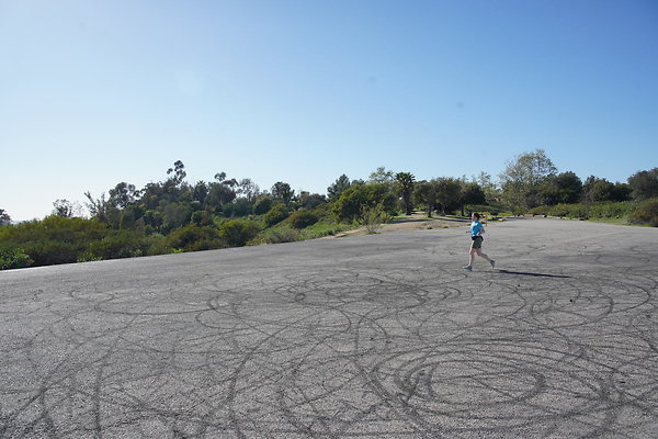 elysian-2025-098 elysian-2025-098