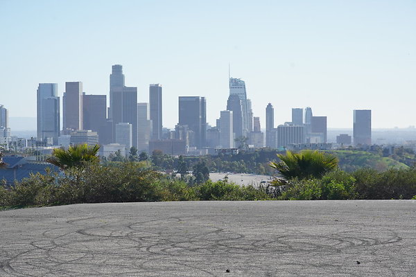 elysian-2025-081 elysian-2025-081