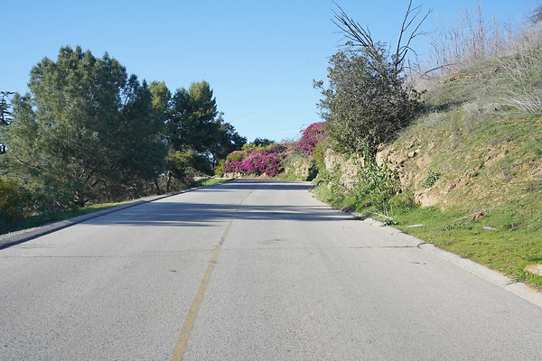 02 Elysian Angels Point Rd Driving WB