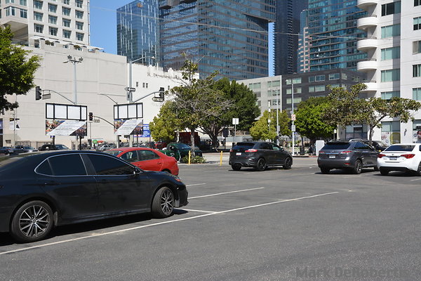 04 Athena 1016 Flower Lot