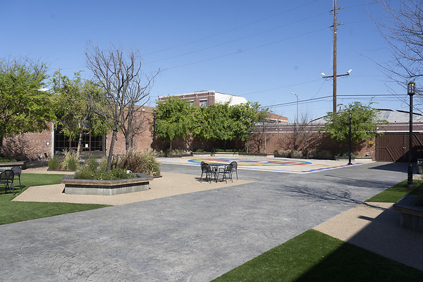 beehive-2025-006 beehive-2025-006