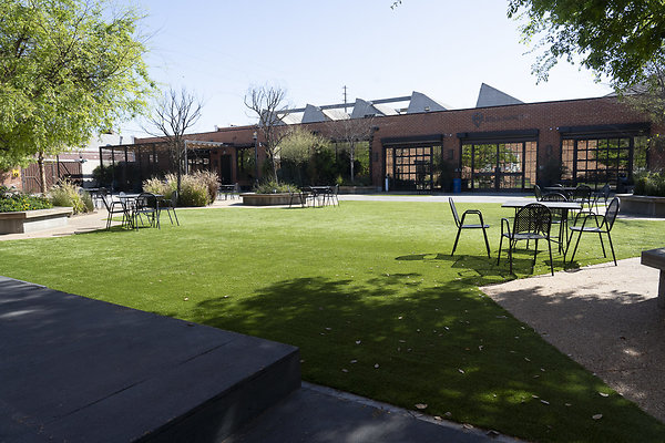 beehive-2025-032 beehive-2025-032