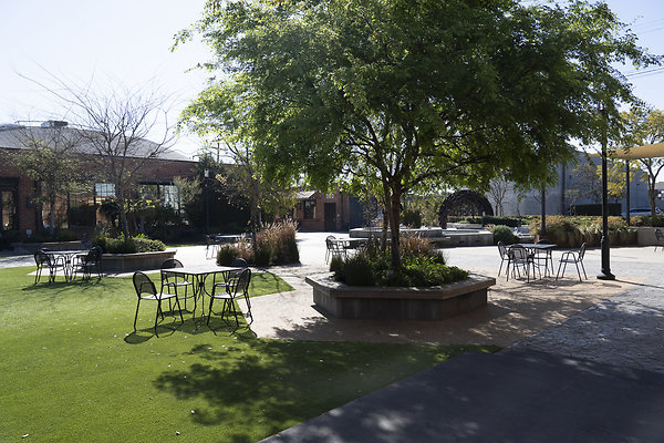 beehive-2025-036 beehive-2025-036