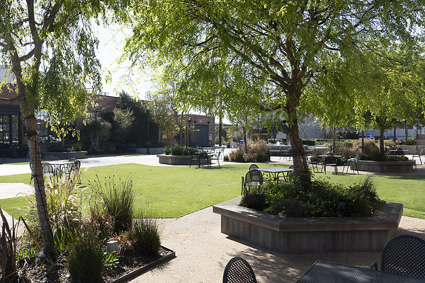 beehive-2025-050 beehive-2025-050