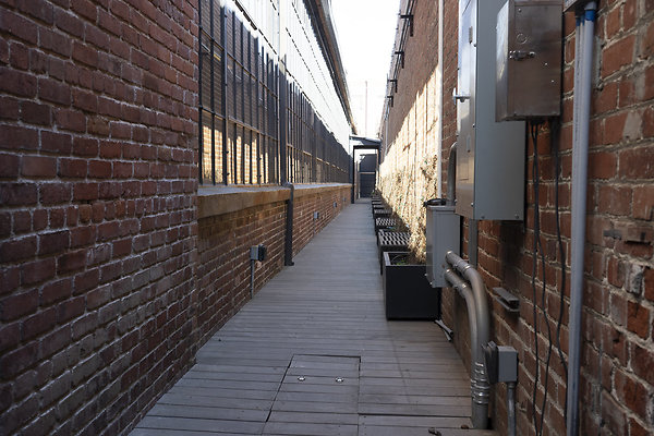 beehive-2025-101 beehive-2025-101