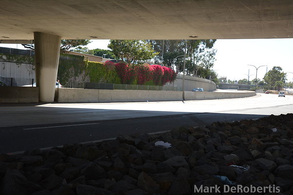 MDR 6637 - 345pm MDR 6637 - 345pm